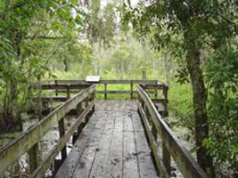 Barataria Preserve