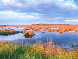 Big Branch Marsh NWR