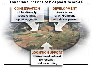 Unesco World Network Of Biosphere Reserves In India